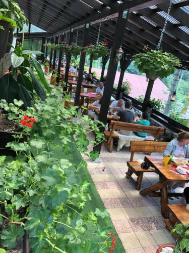 Motel Izvorul Rece Sinaia