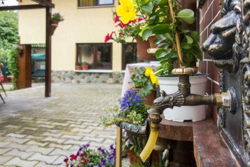 Hostal Pensiunea Sebastian