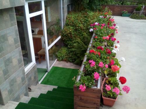 Hostal Aleks Guest House