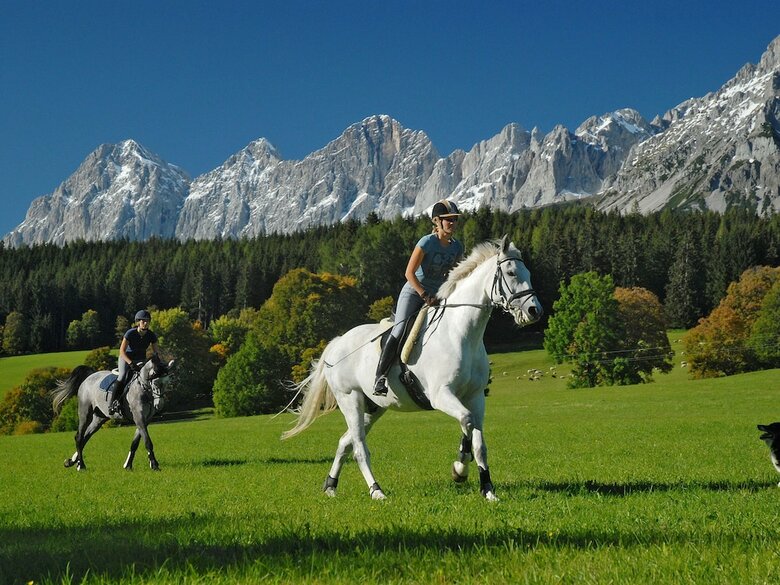 Warm Apartment In Ramsau Am Dachstein With Garden