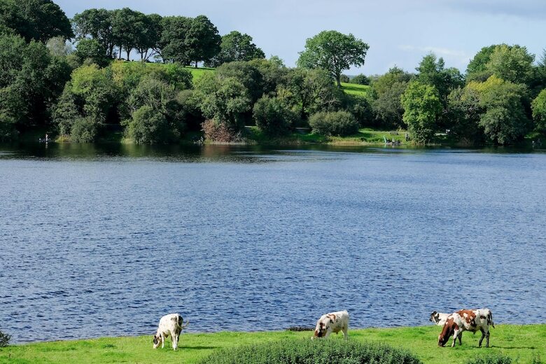 Garadice View Farm House - 6 Bed Accommodation