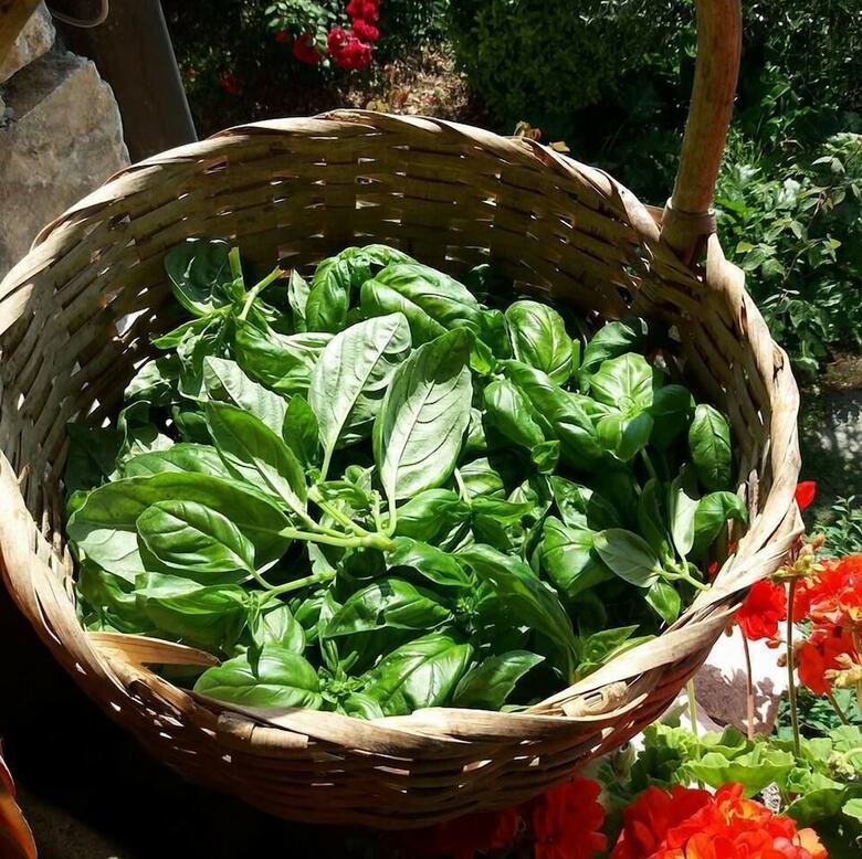 B&B I Campi Di Lino