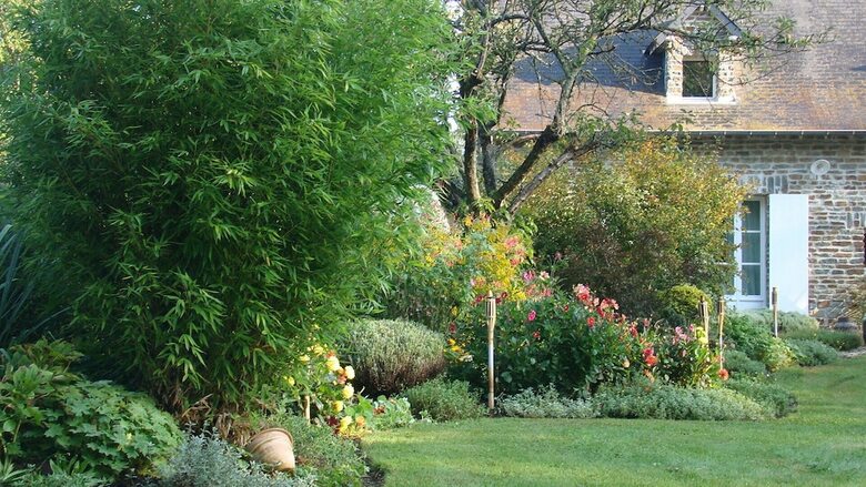 Bed & Breakfast Chambres D'h�tes La Bruy�re