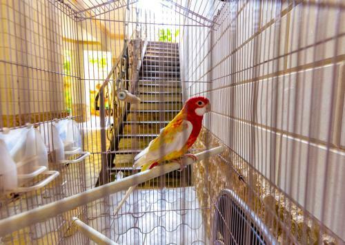 Hostal Guest House Domashniy Uyut