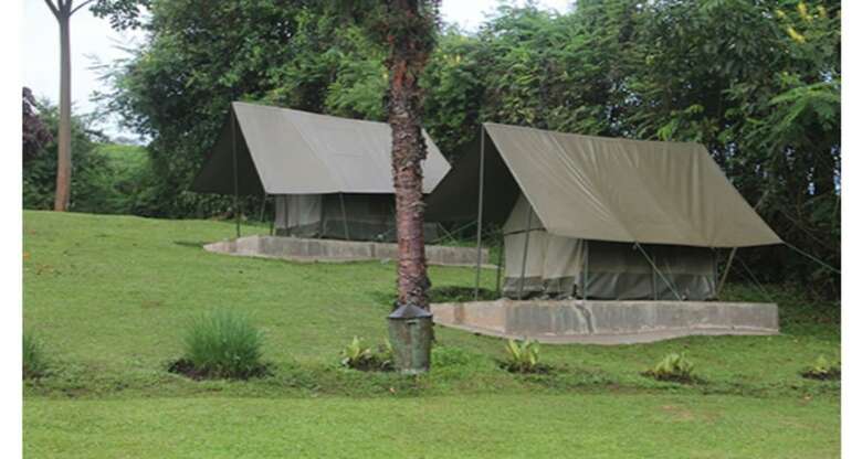 Posada Chimpanzee Forest Guest House