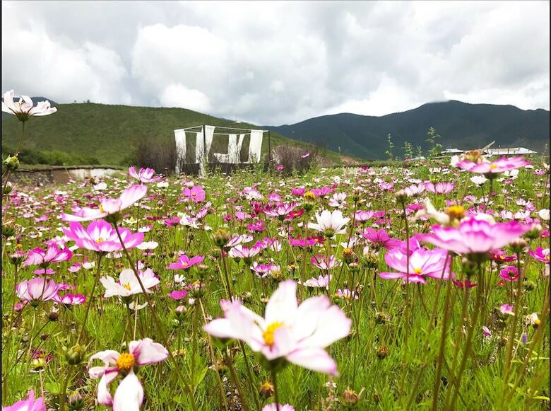 Shangri-la Salloi Rustic Luxury Hotel