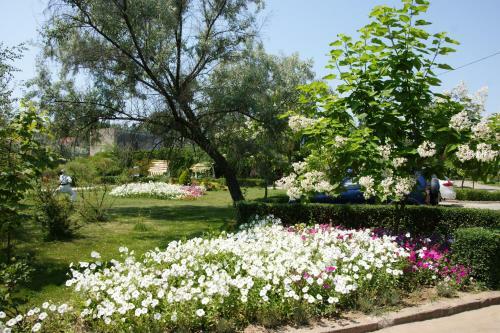 Hotel Pansionat Chernomor