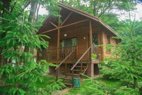Hotel Usadba Berezino