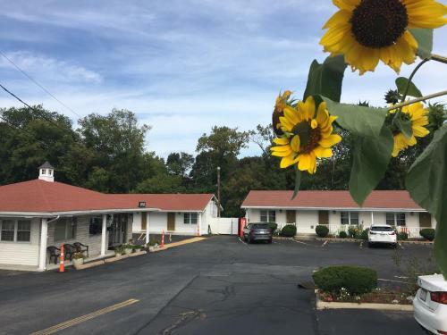 Chisholm's Motor Inn