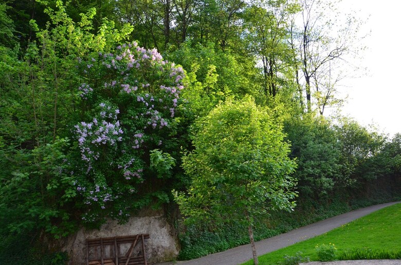 Ferienhof Verse