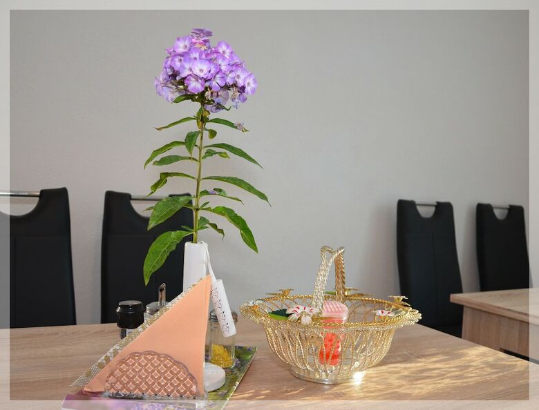 Pension Villa Renner