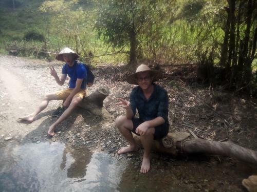 Hotel P�lu�ng Jungle King Homestay