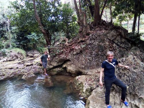 Hotel P�lu�ng Jungle King Homestay