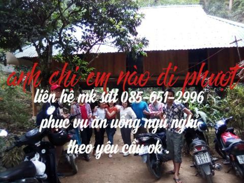 Hotel P�lu�ng Jungle King Homestay
