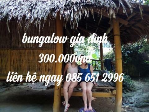 Hotel P�lu�ng Jungle King Homestay
