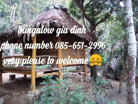 Hotel P�lu�ng Jungle King Homestay