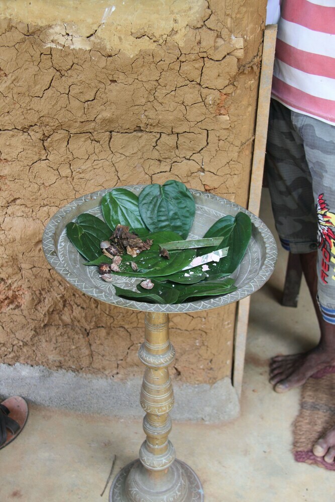 Hostal Grandmaa Cooking Trail