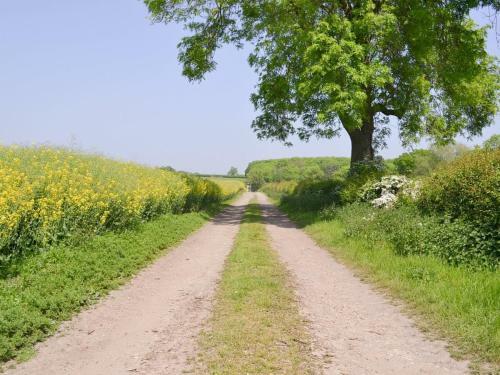 Halfmoon Wood