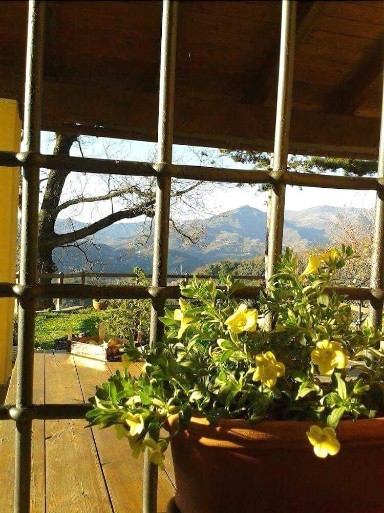 Bed & Breakfast Elsa House
