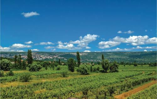 Holiday Home Grubine 18