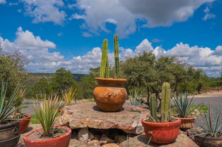 Hotel Montesi�n Durango