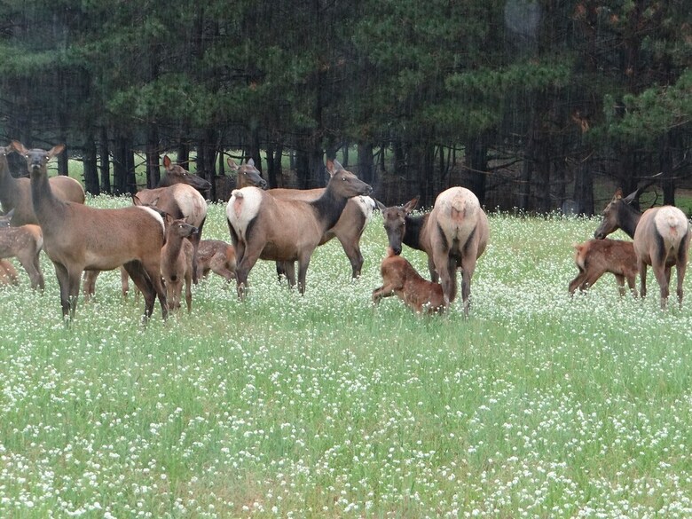 Posada Edenwood Ranch Private Sq Mile