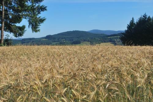 Bed & Breakfast Le Moulin de La Fortie