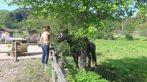 Bed & Breakfast Le Moulin de La Fortie