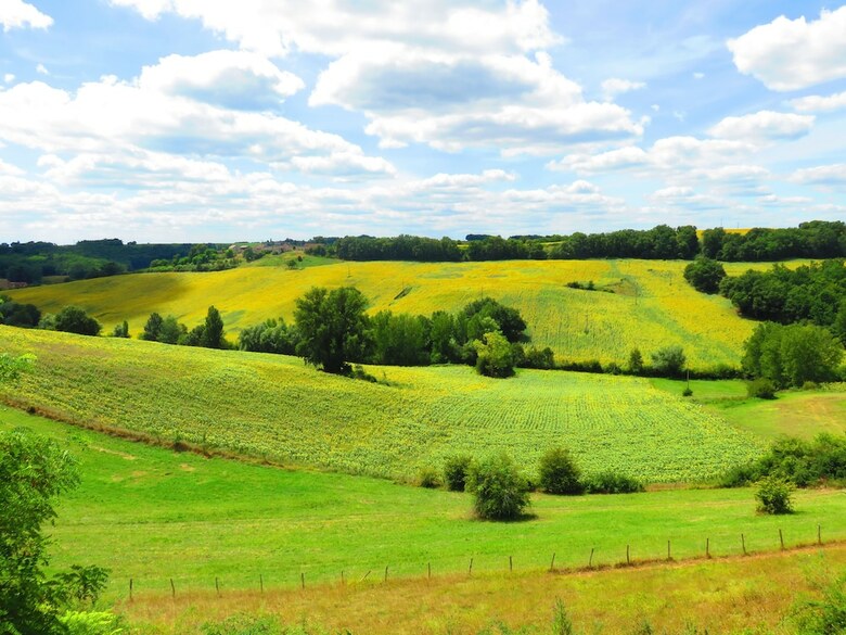 Le Domaine Du Chasselas - B&B