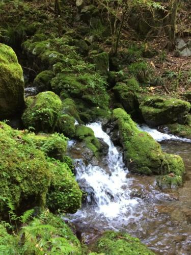 Hostal Otsu Nature Garden