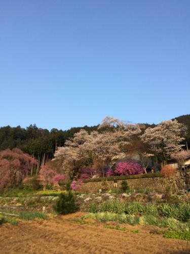 Hostal Otsu Nature Garden