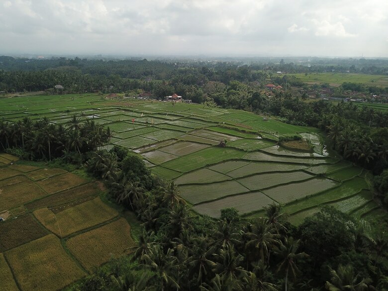 Villa Asri Sari Resort Ubud