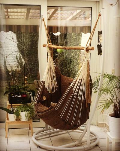 B&B Ambiorix