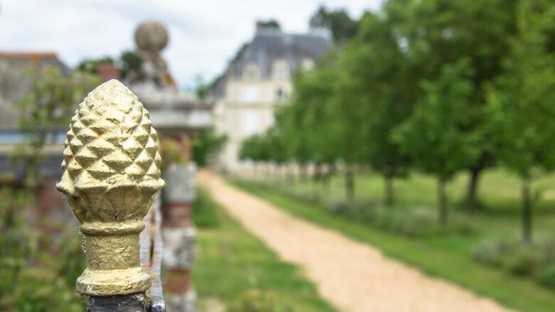 Bed & Breakfast Ch�teau de La Buronni�re