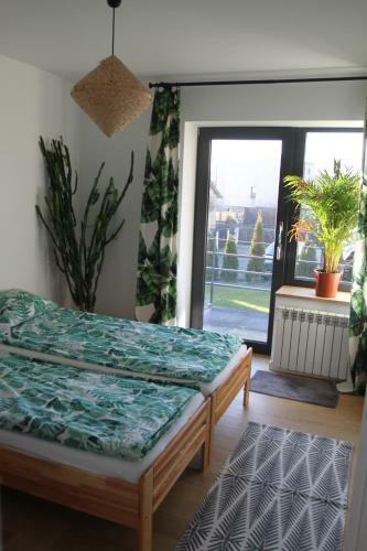 Apartamento Aloha From Rewa