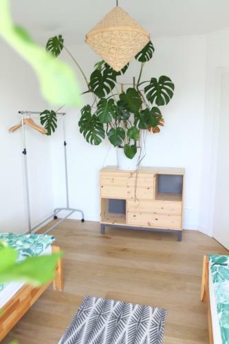 Apartamento Aloha From Rewa
