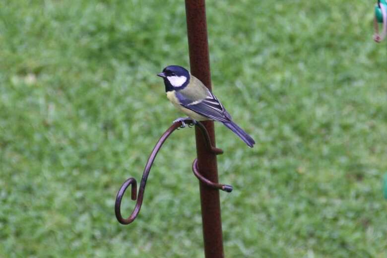 Riverfield Bed And Breakfast