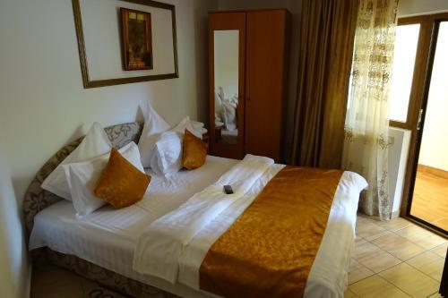 Hostal Pension Cuibul Viselor