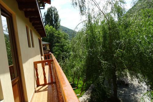 Hostal Pension Cuibul Viselor