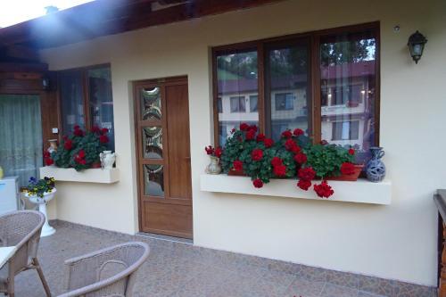 Hostal Pension Cuibul Viselor
