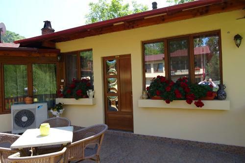 Hostal Pension Cuibul Viselor