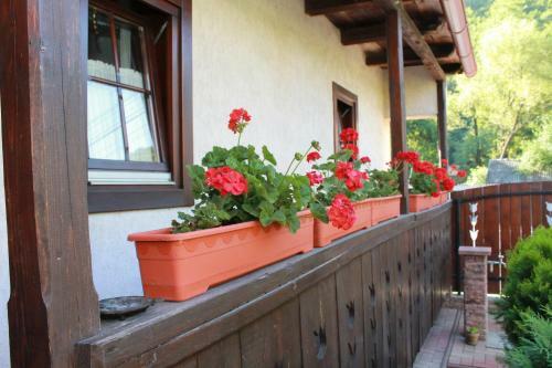 Hostal Zsuzsanna Paraszthaz