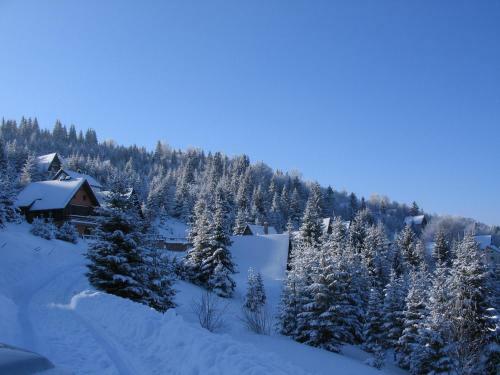 Apartamento Villa Kostic Kopaonik
