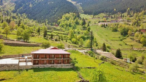 Apartamento Monoir Suite