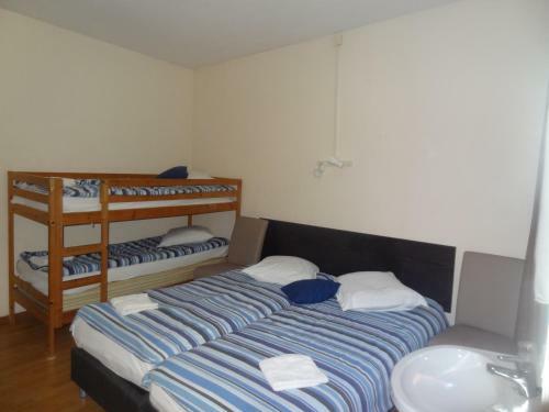 Hostal Logies Ocelot