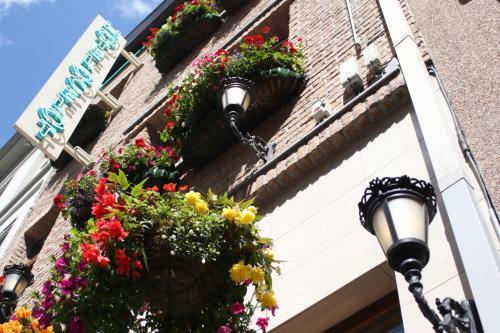 Hostal Logies Ocelot