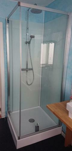 Hostal Logies Ocelot