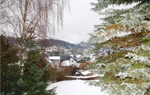 One-bedroom Apartment In Schonecken