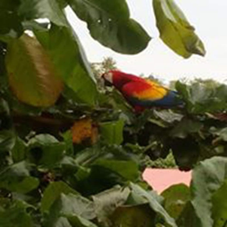 Bed & Breakfast Los Susurros Casa