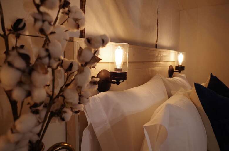Hotel Black Tree Resort